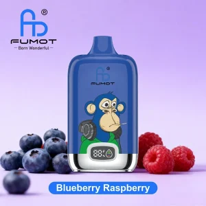 FUMOT Digital Box 12000 04 – Blueberry Raspberry