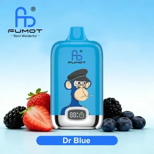 FUMOT Digital Box 12000 17 – Dr Blue